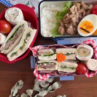 家族お弁当|さあママさん