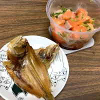 🐟🐟|🍁さん
