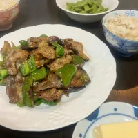 茄子と豚肉の味噌炒め 他|tatsuponさん