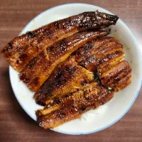 うなぎ(うな丼)