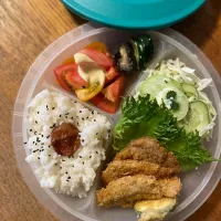 お隣さんは差し入れ　ヒレカツ弁当