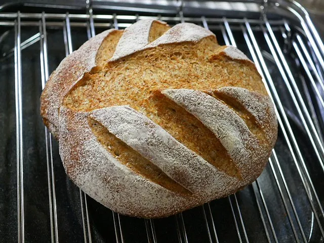 ライ麦カンパーニュ😆初めてクープの模様を葉っぱ？風に🍀|深夜特急fさん