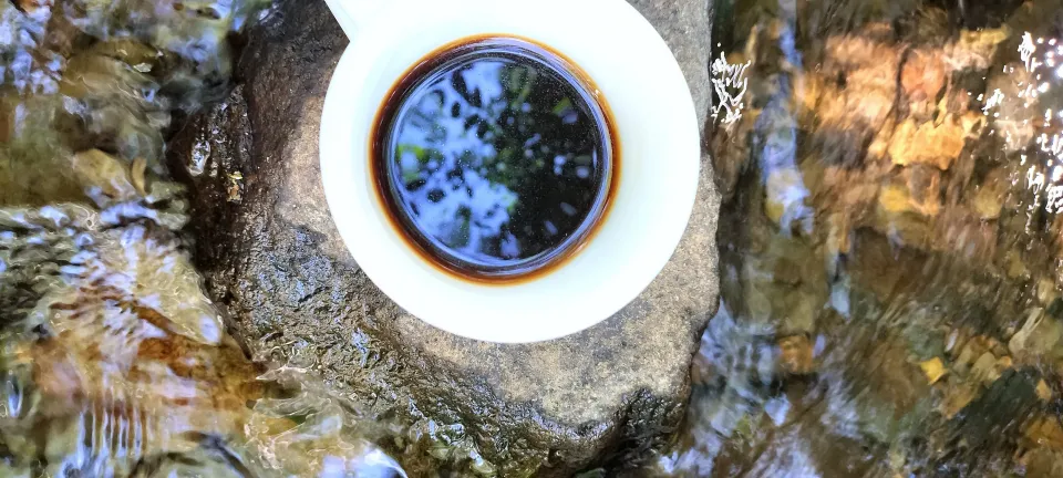 木の緑が映り込むエスプレッソコーヒー|＊nozo＊さん