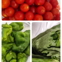 父作の野菜貰いました昨日| m.rafuさん