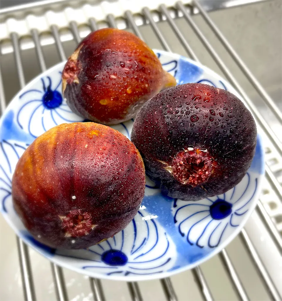 いちじく|藤田 まり子さん