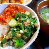 モロヘイヤ納豆チャンジャご飯、モロヘイヤと蒟蒻の味噌汁|DKさん