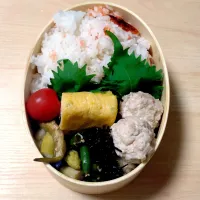 今日のお弁当|ぴより子さん