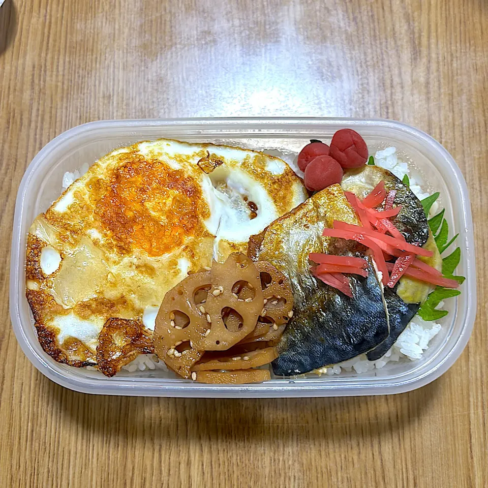 鯖目玉焼き丼|望さん