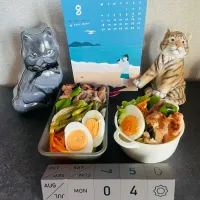 20250804🍱今日のお弁当🍱