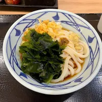 冷ぶっかけ並|しのぶさん