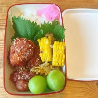 ◇本日のお弁当|ロミさん