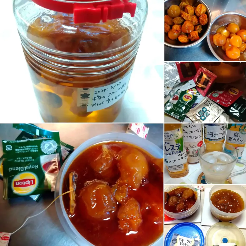 梅シロップ|うたかた。さん