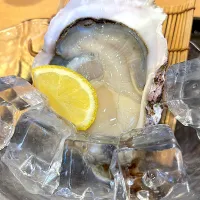 天然岩牡蠣|みいさん