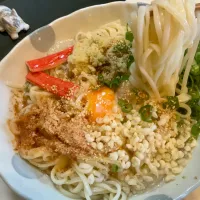 冷やしぶっかけうどん| Takeshi  Nagakiさん