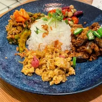 3種のキーマカレー|いがをさん