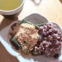 有機玄米よもぎ餅と韃靼そば茶| チョコさん