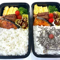今日のお弁当🍱|Mikanさん