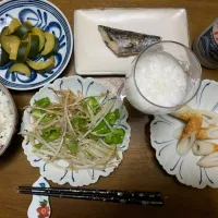 夕食　酒のつまみいろいろ　ビール🍺|ATさん