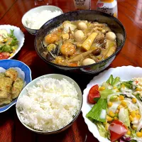 今晩は八宝菜|こどもおやじさん