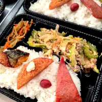 ゴーヤーチャンプルー弁当| 景子さん