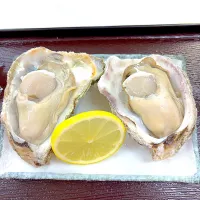 岩牡蠣|utayataさん