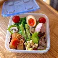 令和7年8月5日(火) お弁当|みかりんさん