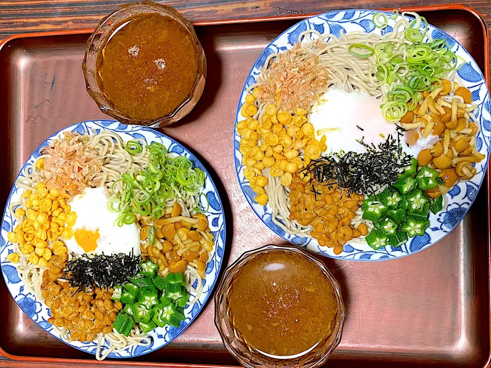 冷やしおろし蕎麦|ガリ子ちゃん⸜( •⌄• )⸝さん