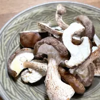 佐倉きのこ園の肉厚椎茸を網焼きで|maSami＊さん