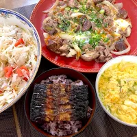 うなぎ蒲焼きと牛丼風|minipicnicさん