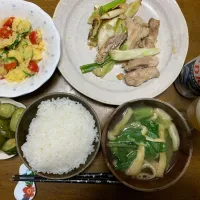 夕食　鶏肉と白ネギのガーリックソテー|ATさん