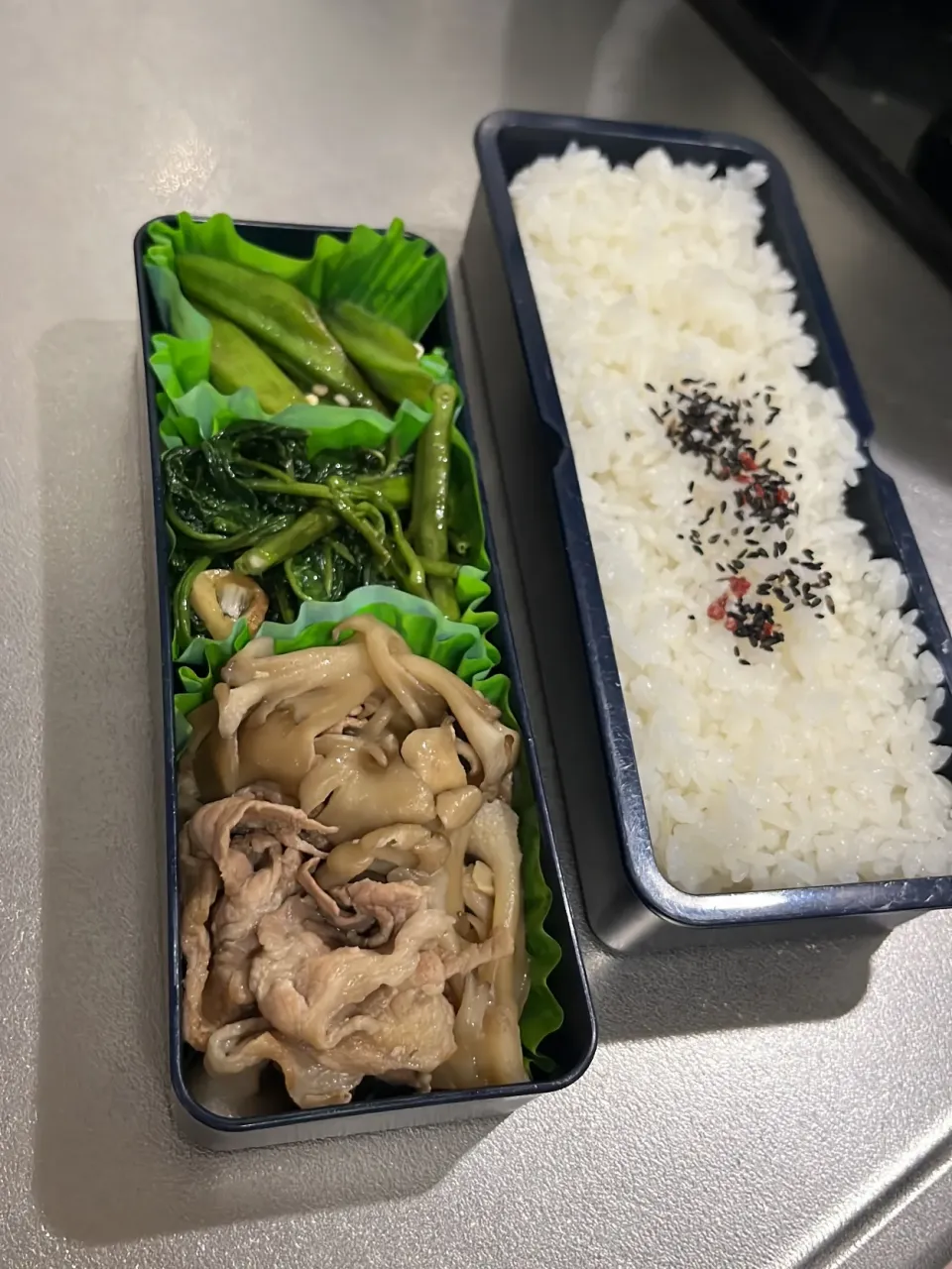 あるもん弁当|みどりさん