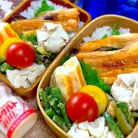 今日の夫婦弁⁽⁽ ◟(灬 ˊωˋ 灬)◞ ⁾⁾💕| 桃実さん