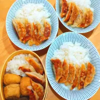 餃子弁当|NOZUさん