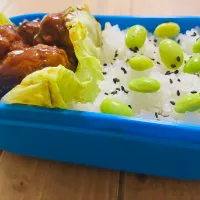 2025/8/6(水)在宅弁（急）|ご飯はん♪さん