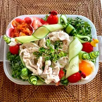 豚しゃぶサラダうどん弁当|ヘルペイさん