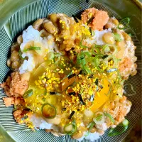 納豆味噌酒フレークTKG|すくらんぶるえっぐさん