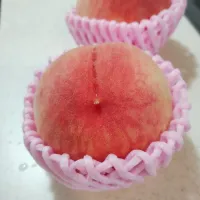 Japanese Peach！ 桃！| Reiko Momさん