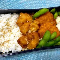 単身赴任弁当269|単身赴任のっちさん