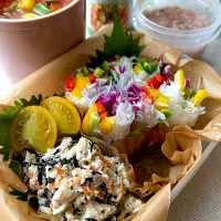 【ファスティング✤準備食】2日目のお弁当|まなまな♡さん