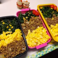 娘弁当､私弁当､夫弁当|みどりさん