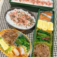 今日のお弁当 2025.8.8(Fri)|*seiko*さん