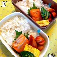 学童弁当|キヨさん