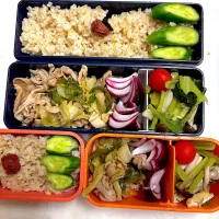 今日のお弁当|Victoryageさん