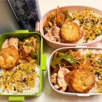 今日のお仕事弁当♪2025.8.8|ぐぅさん