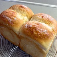 シュガートップ|tugumi4322さん