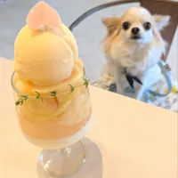 桃のパンナコッタパフェ🍑
