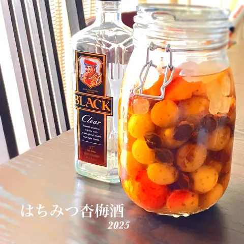 「氷砂糖-CRYSTAL SUGAR-」を使ってみたSnapdishの料理・レシピ写真:はちみつ杏梅酒🍯