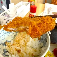 |まことさん