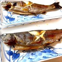 ニジマスの塩焼き|あおさん