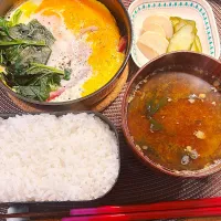 初めてのメスティン炊飯|ゆうかさんさん